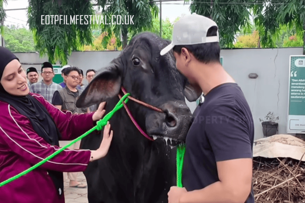 Tangis Sonny Septian Pecah Saat Pertama Kali Ikut Menyembelih Tangis Sonny Septian Pecah Saat Pertama Kali Ikut Menyembelih